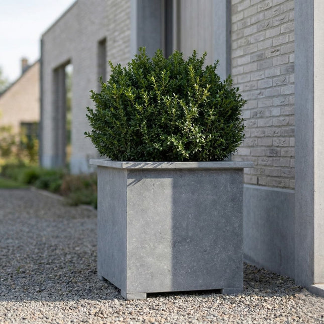 Vierkante arduinen plantenbak met bodem 70x70x74 cm - Doika - Plantenbak - Doika - 5420024201118 - Square classic 70x70x74 (3 cm)
